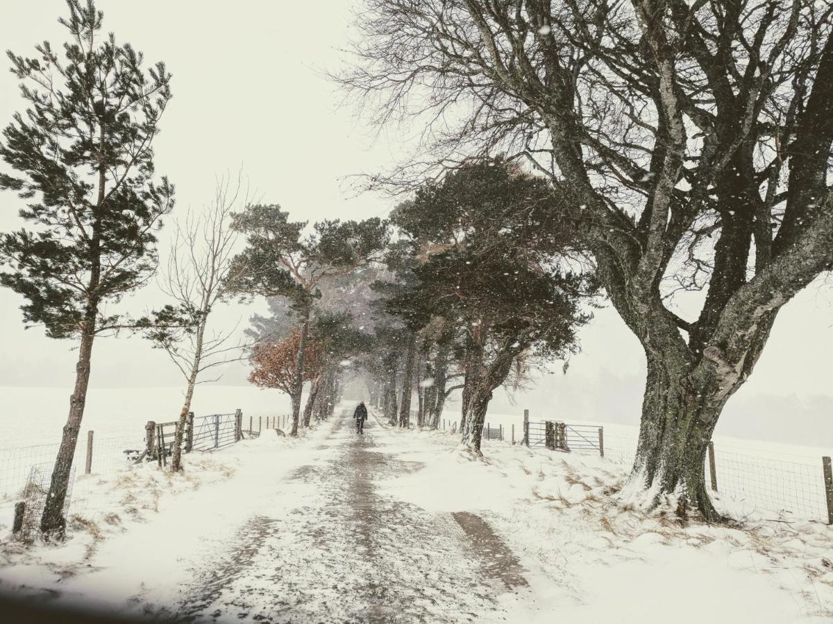 Glentruim Homestay B&B And Glamping Pods ニュートンモア エクステリア 写真