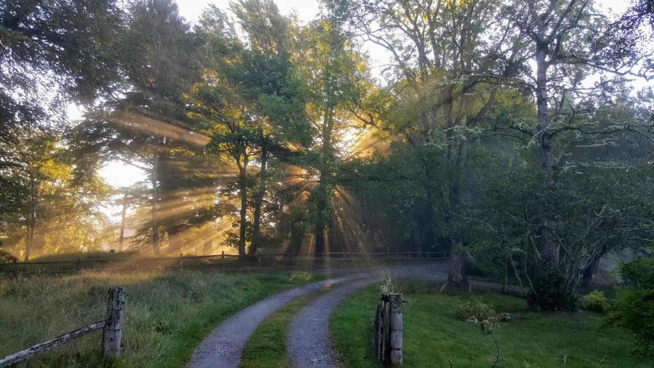 Glentruim Homestay B&B And Glamping Pods ニュートンモア エクステリア 写真